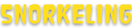 Snorkeling Forums